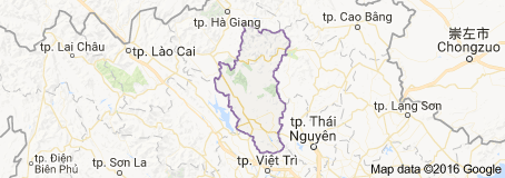 Cho thuê xe nâng thang, xe nâng người tại Tuyên Quang